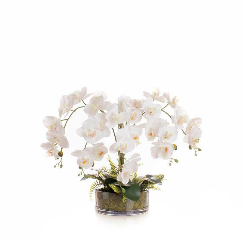 55cm Real Touch 5-Stem Artificial Orchid with Fern in Glass Pot